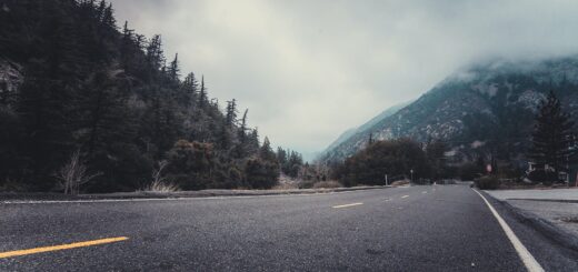 person showing asphalt road