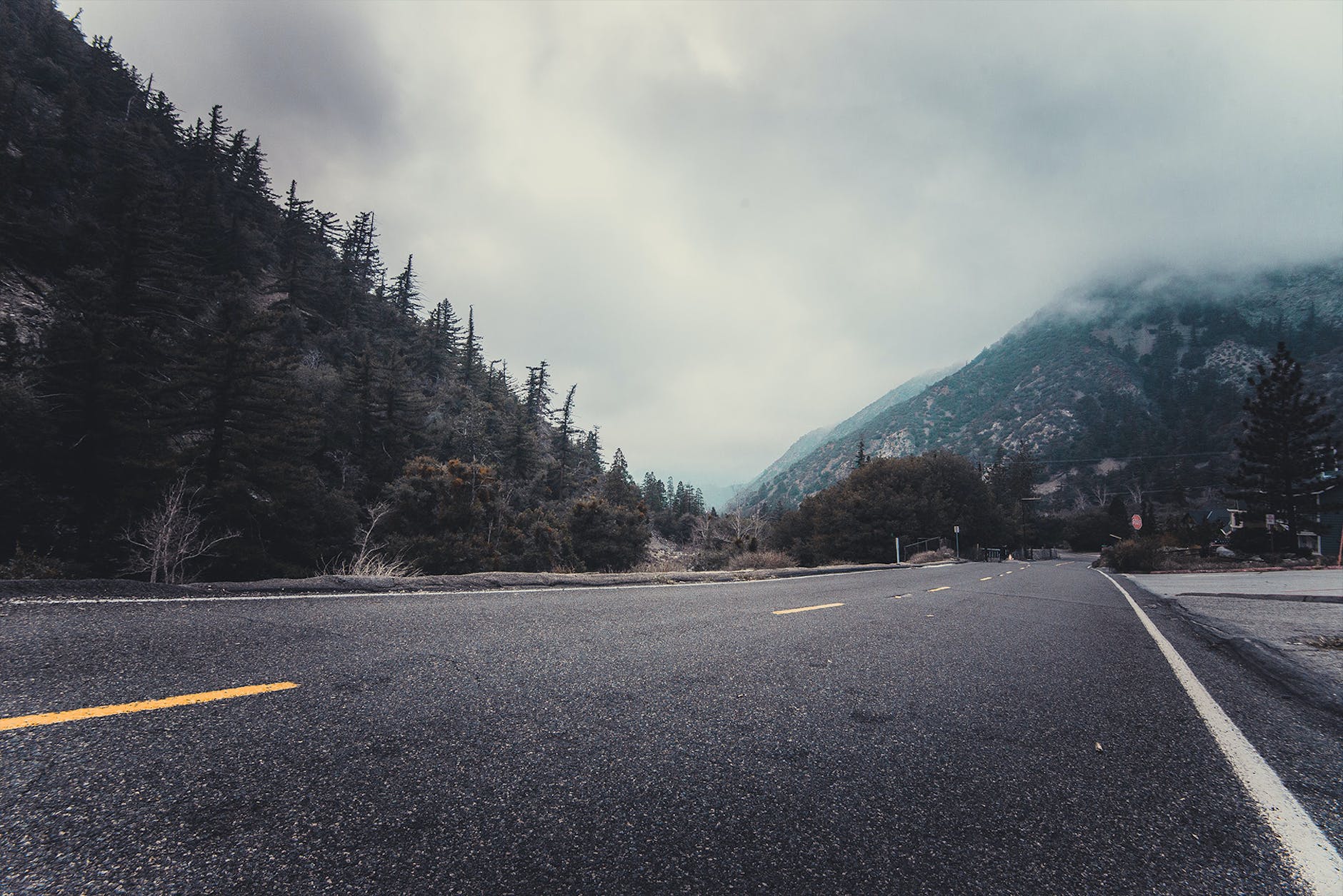 person showing asphalt road