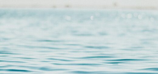 body of water